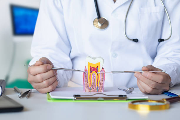 Best Emergency Root Canal Treatment in Miami Gardens, FL